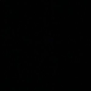 Meet your Posher, Ava